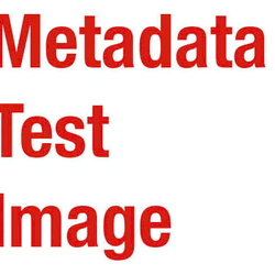 Seibert Metadata